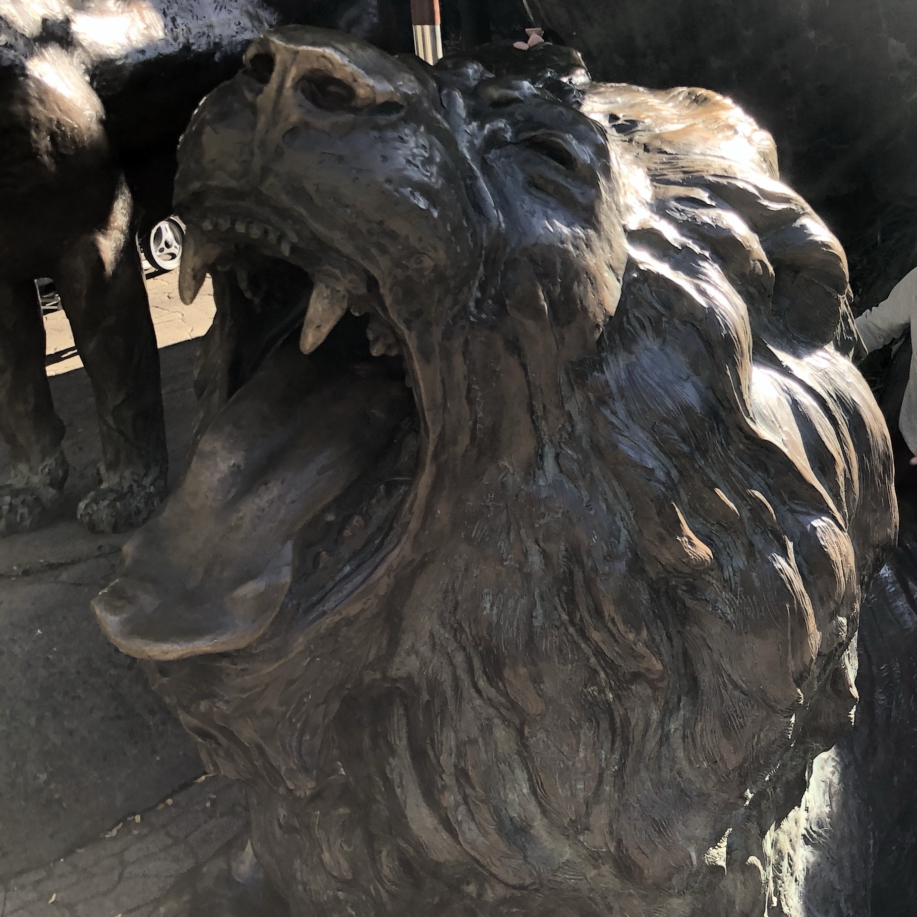 Legacy’s Lion